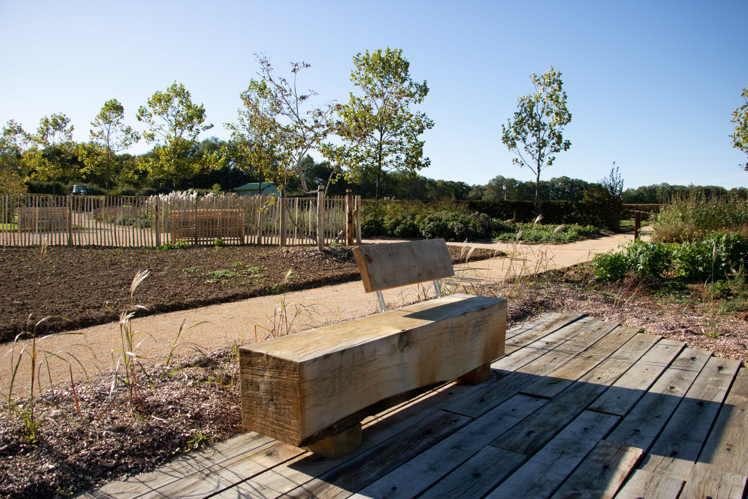 banc-jardin-botanique-idspace