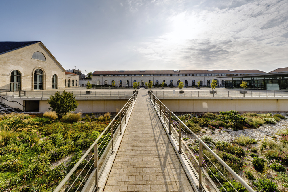 jardin-plantes-espace travail-idspace