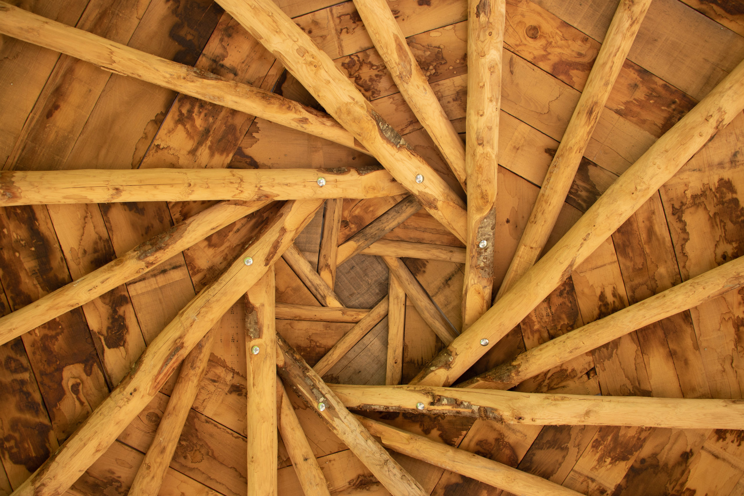 kiosque-bois-jardin-botanique-idspace