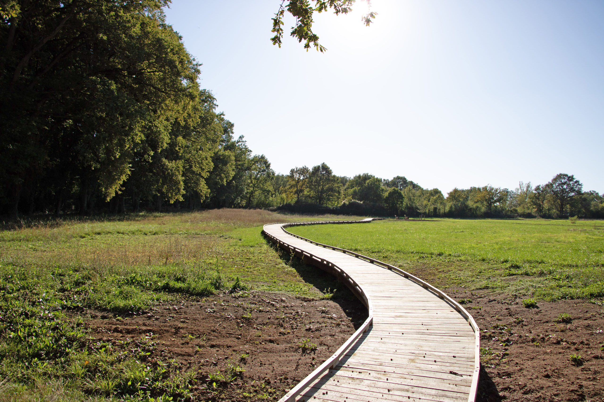 passerelle-bois-jardin-botanique-idspace