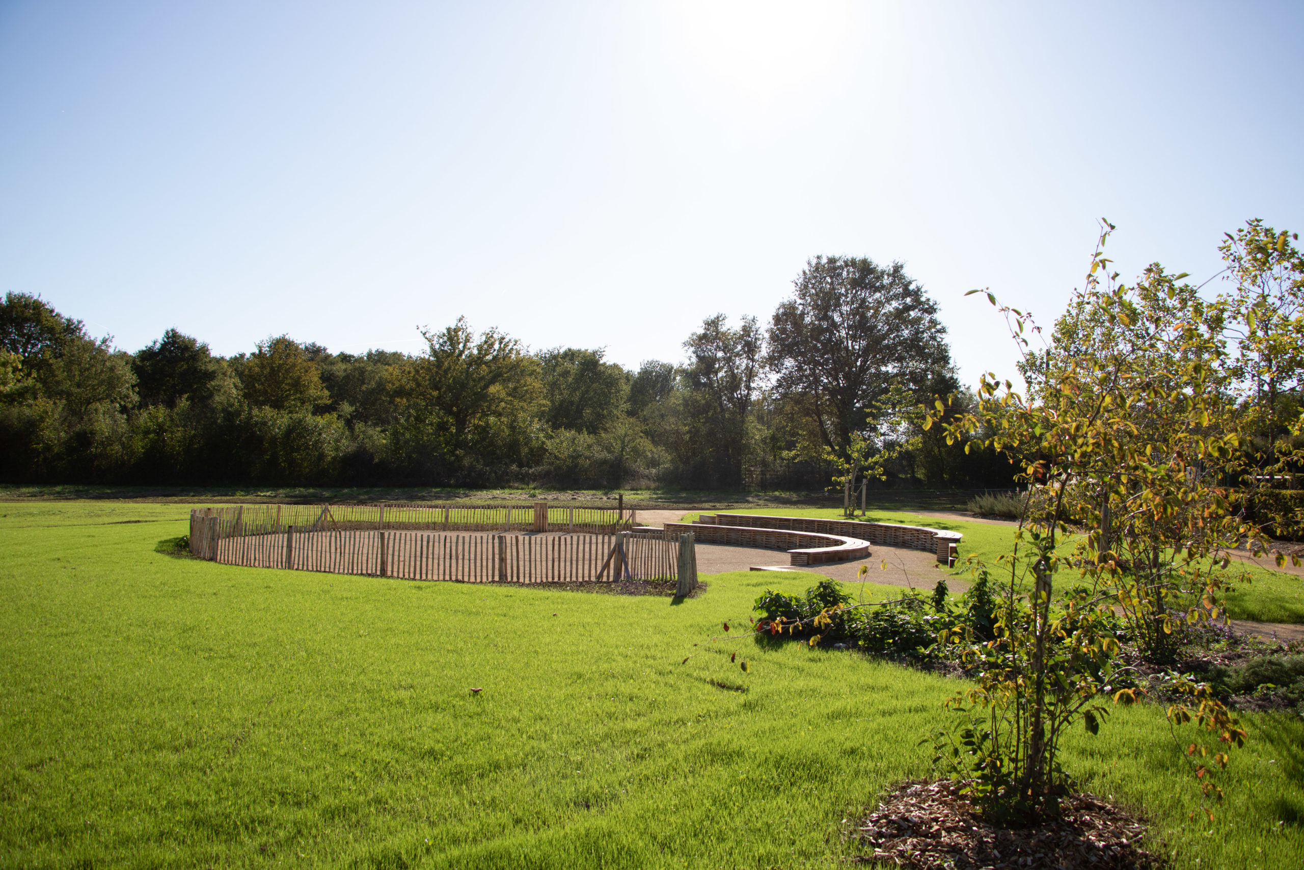 theatre-jardin-botanique-idspace-paysage