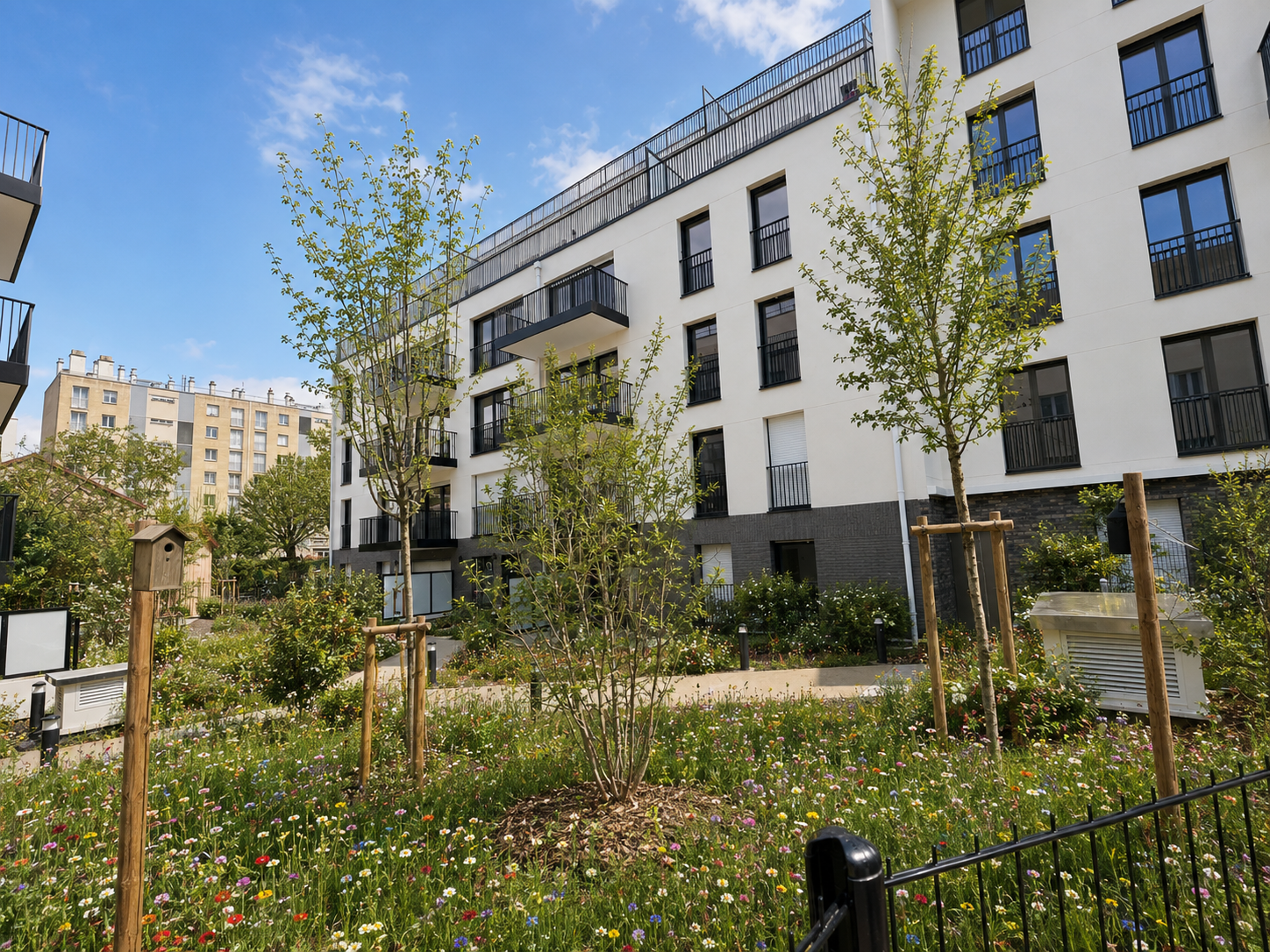 Prairie fleurie, arbres et nichoir dans un jardin résidentiel à Suresnes