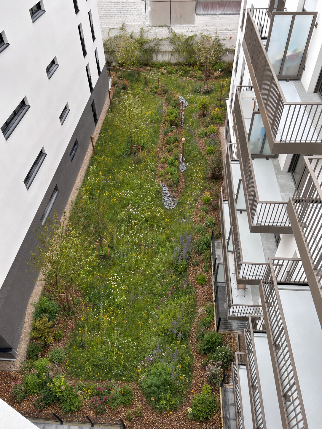 Vue plongeante sur le jardin paysager en cœur d’îlot à Suresnes