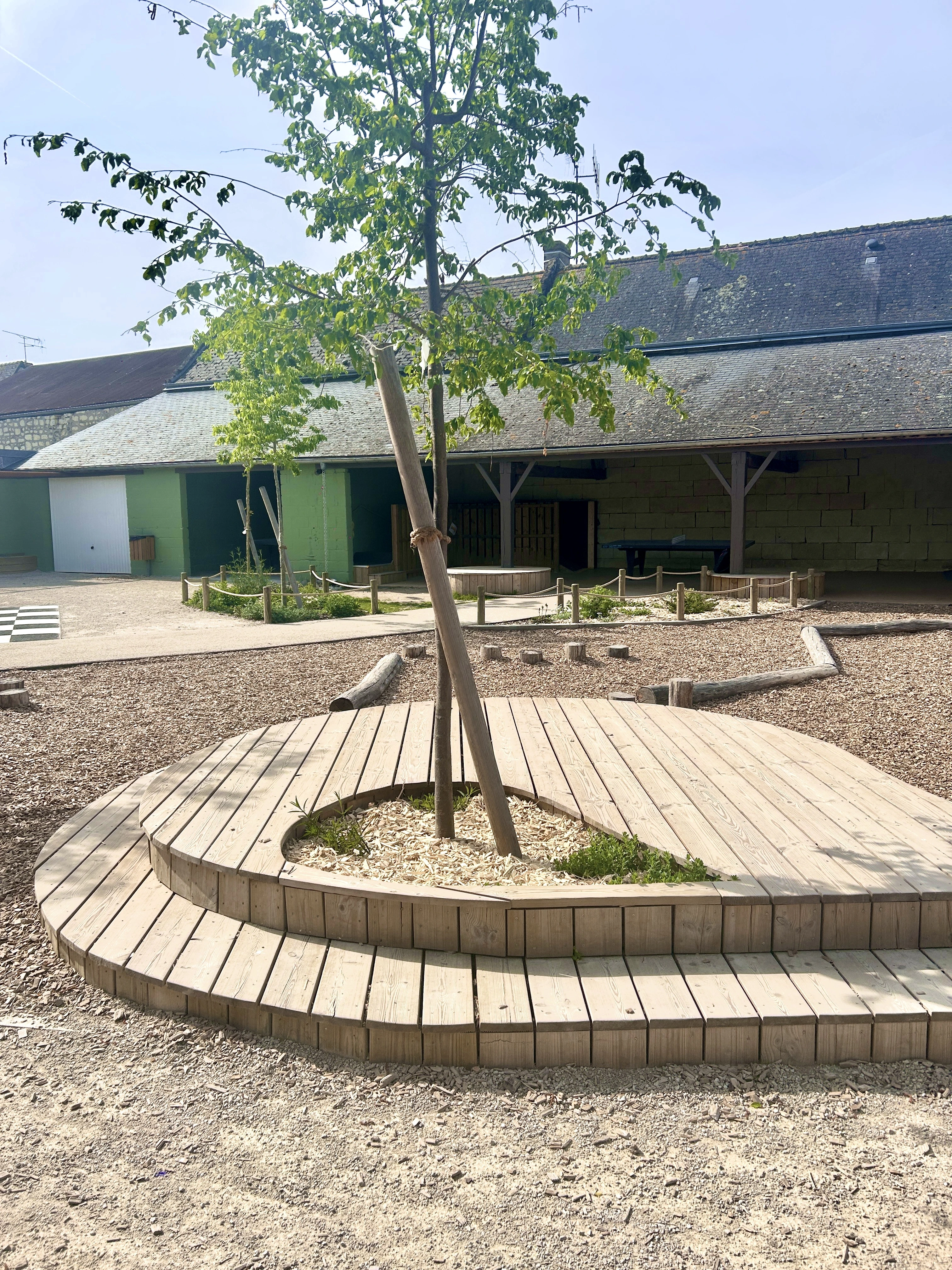 Gradin circulaire en bois autour d’un arbre dans la cour d’école