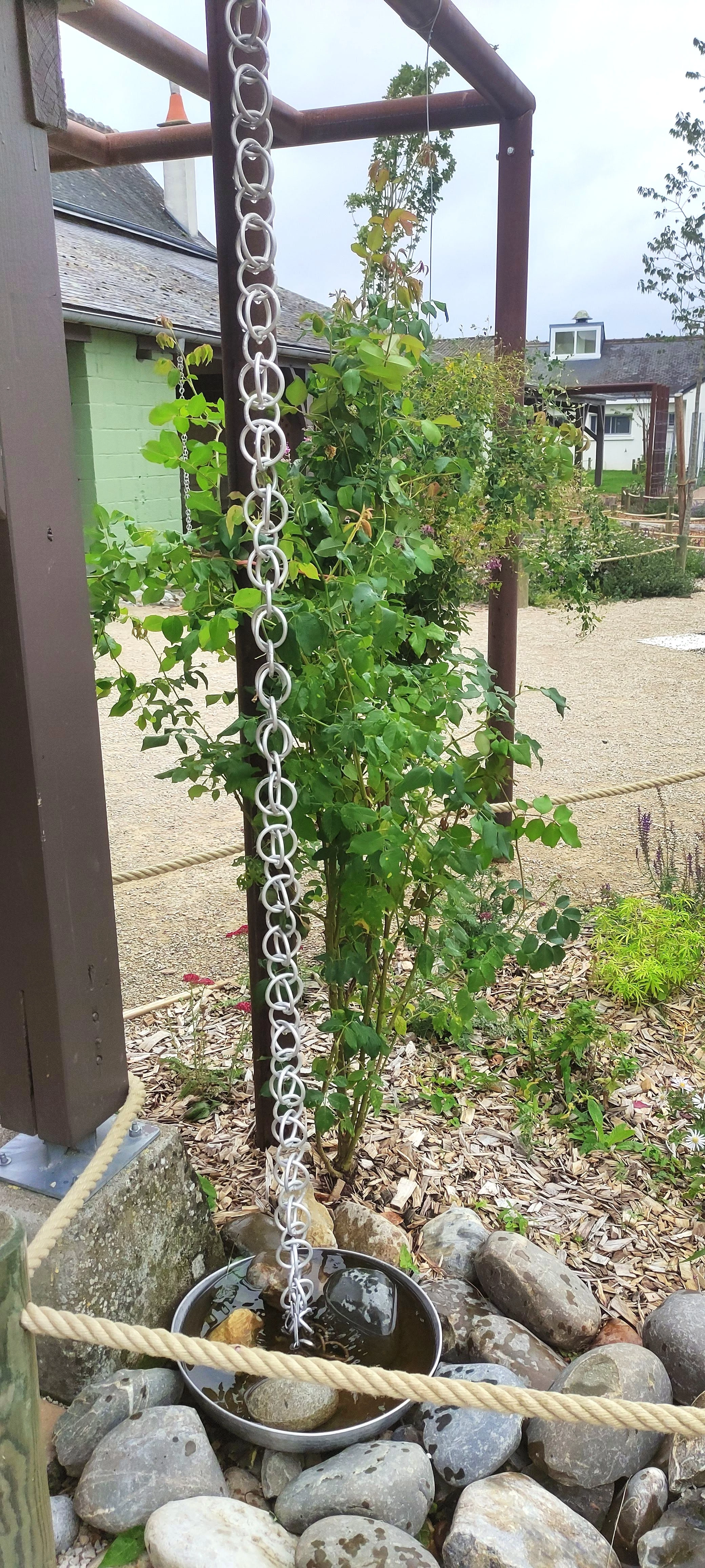 Chaîne de pluie conduisant l’eau vers une vasque de galets dans la cour d’école