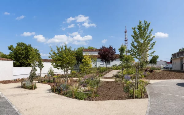Jardin planté et cheminements de la cour d’école renaturée à Vaux-sur-Mer