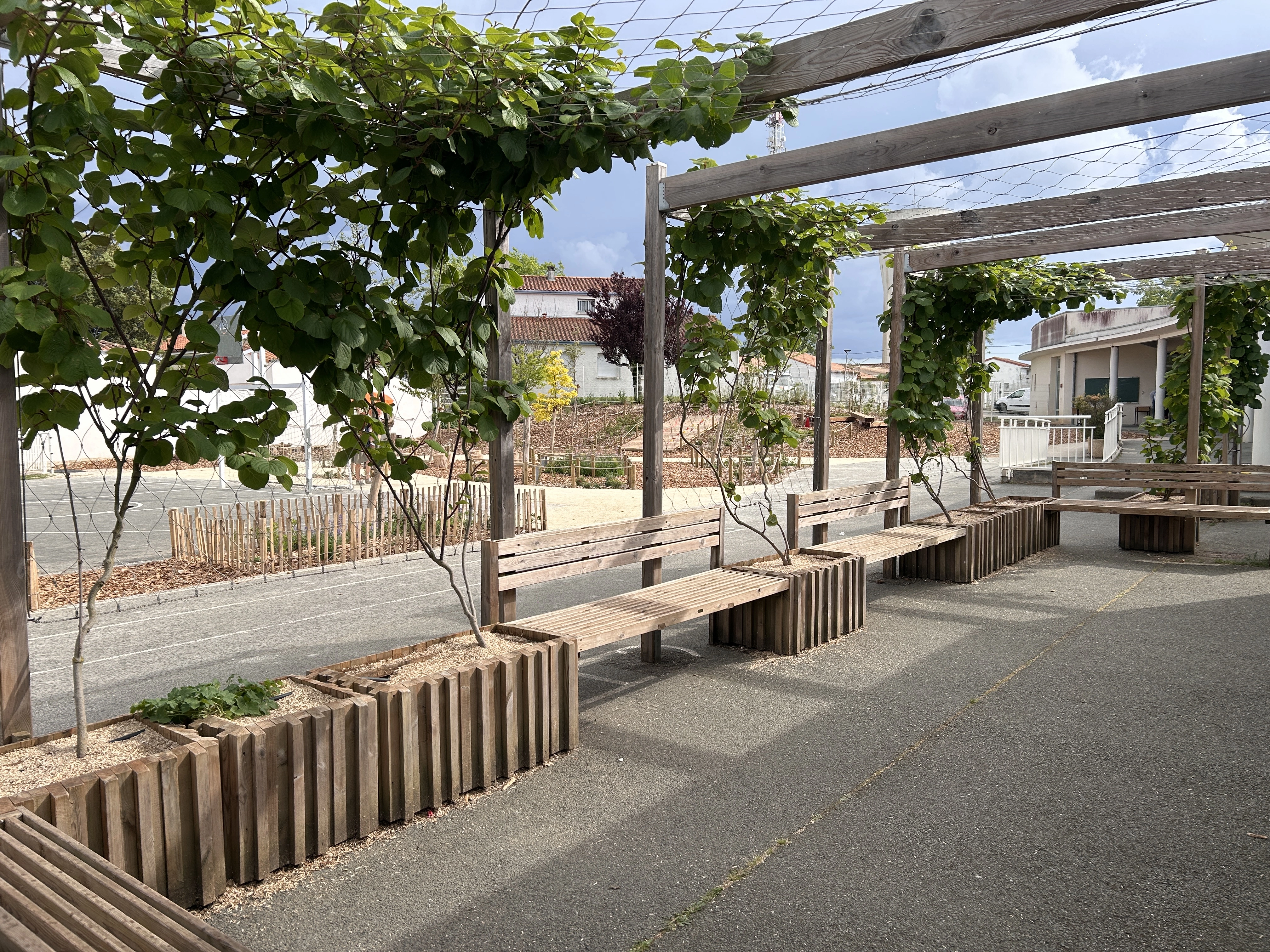 Pergola végétalisée et bancs dans la cour d’école de Vaux-sur-Mer